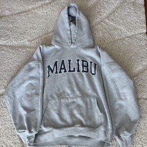 Brandy Melville / John Galt Malibu Grey Hoodie